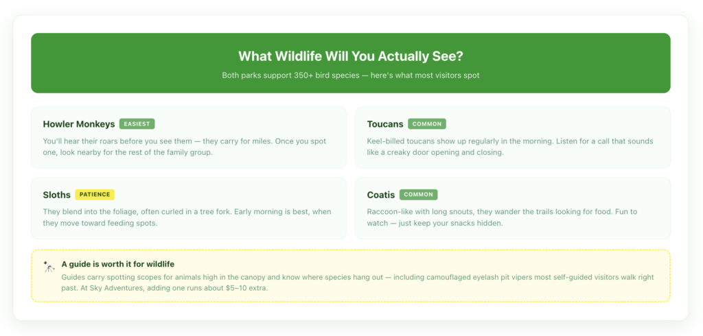 Wildlife spotting guide for the Arenal hanging bridges covering howler monkeys, toucans, sloths, and coatis with tips on how and when to see each