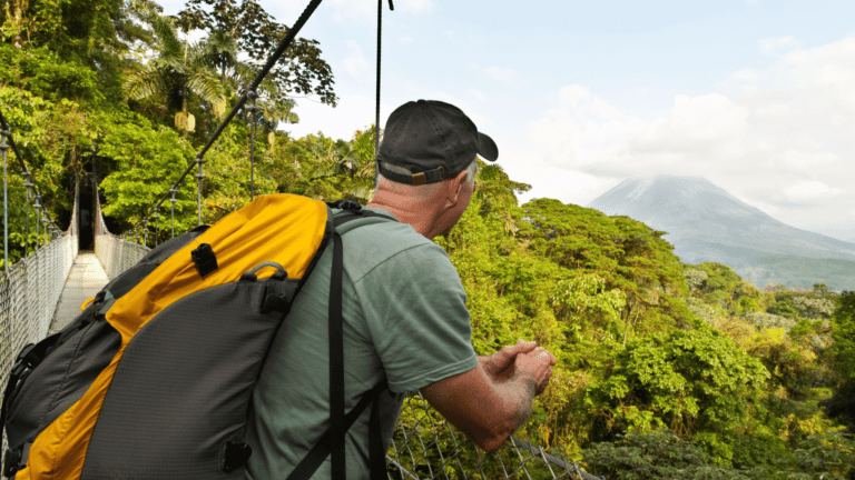 a man with a backpack on a bridge over a forest