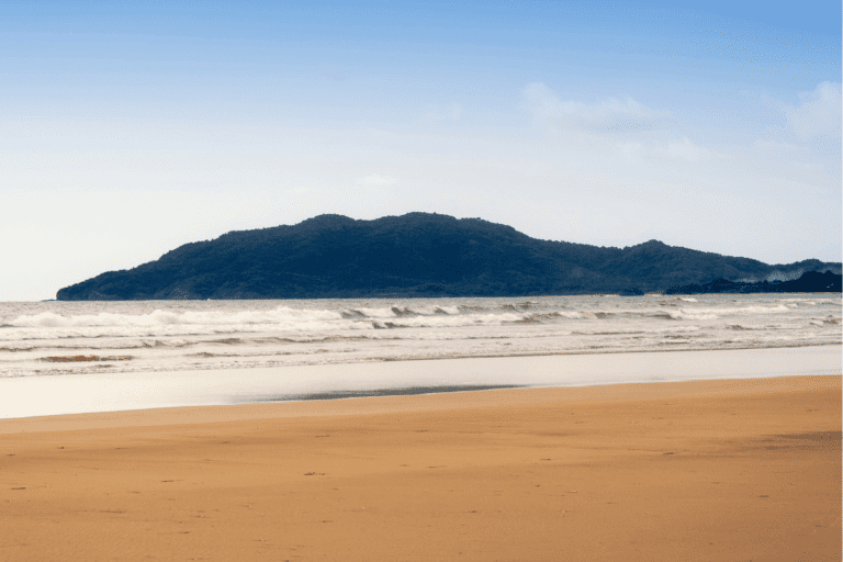 10 1 Tamarindo