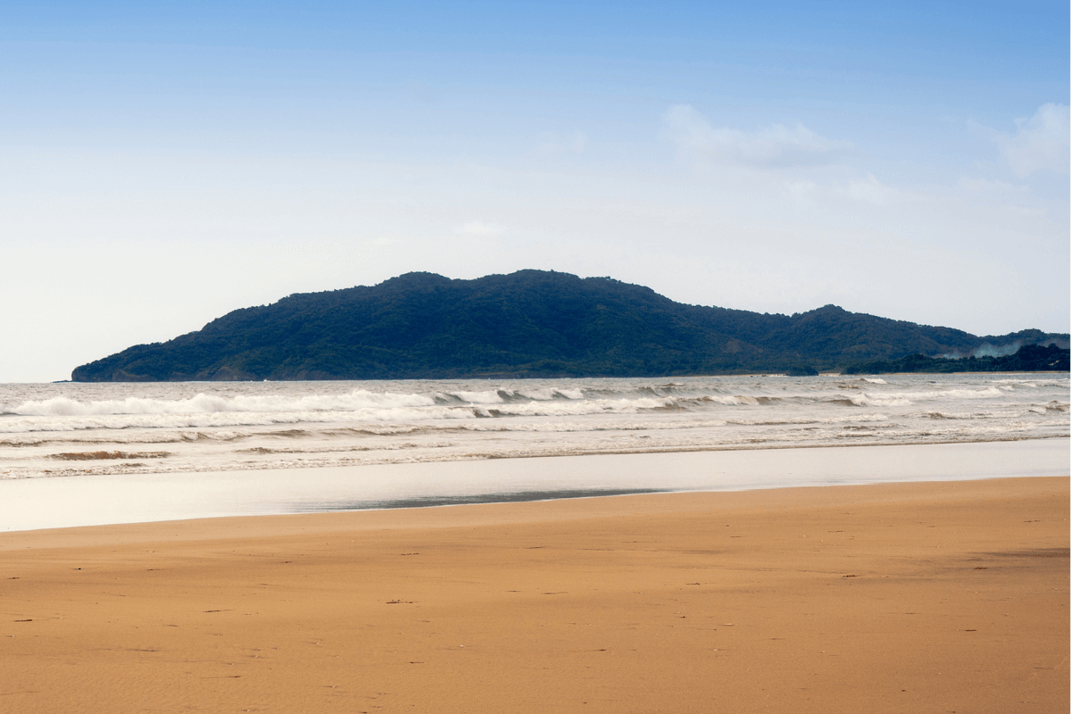 10 1 Tamarindo