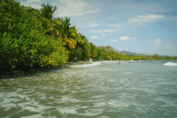 107 Caribbean