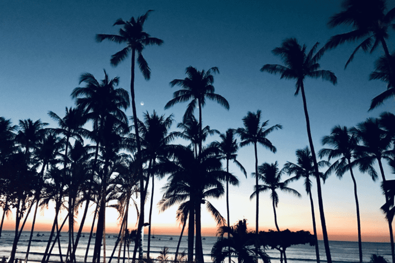 14 Tamarindo
