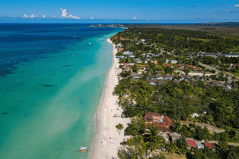 8 1 Caribbean