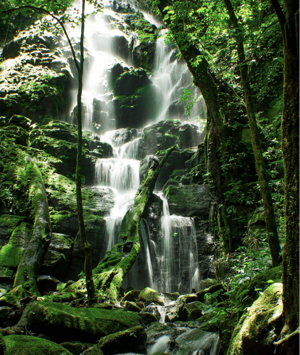 Screenshot 2024 07 05 at 18.36.09 Rincon de la Vieja