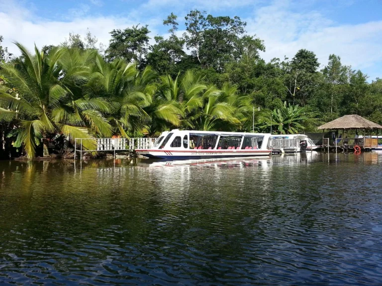 Canal cruise Tortuguero