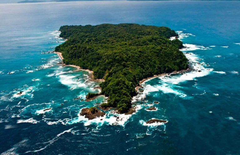Tour Isla del Cano 1024x661 1 Caño Island