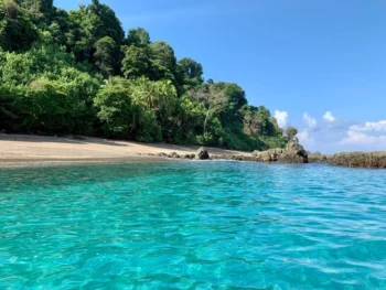 f773ee2a 998a 46dc a3f3 88060ff4bd6f Caribbean