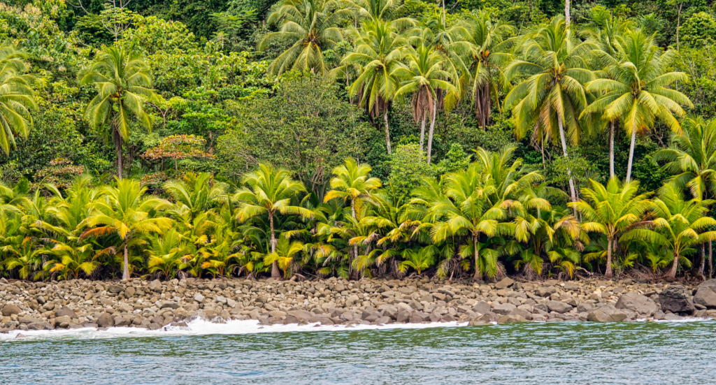 Marino Ballena National Park, Costa Rica