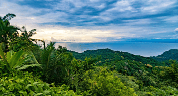Planning Your Visit to Monteverde Arenal Volcano