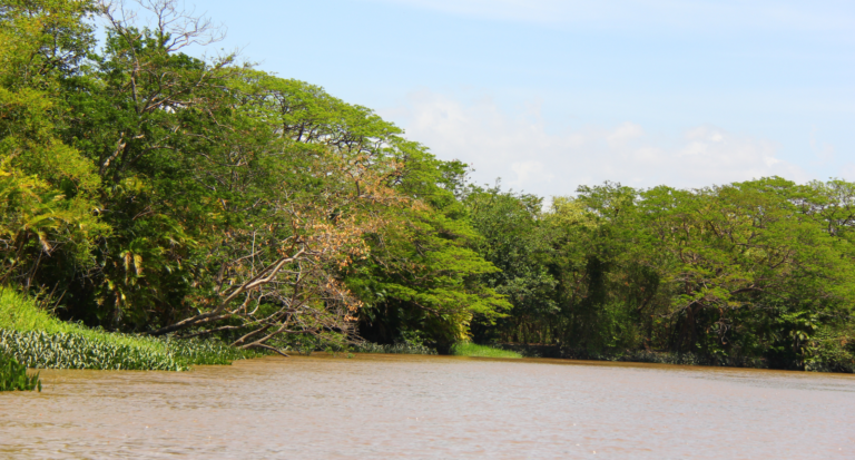 Rincon de la Vieja National Park Dry Season