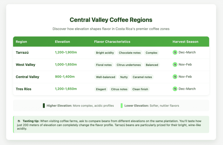 Coffee regions comparison table showing four Central Valley coffee zones: Tarrazú (1,200-1,900m) with bright acidity and chocolate notes harvested Dec-March; West Valley (1,000-1,650m) with floral and citrus notes harvested Nov-Feb; Central Valley (900-1,400m) with nutty and caramel flavors harvested Nov-Feb; and Tres Ríos (1,200-1,650m) with elegant citrus notes harvested Dec-March. Green-themed design includes legend explaining how elevation affects flavor complexity and a tasting tip about comparing beans from different elevations.