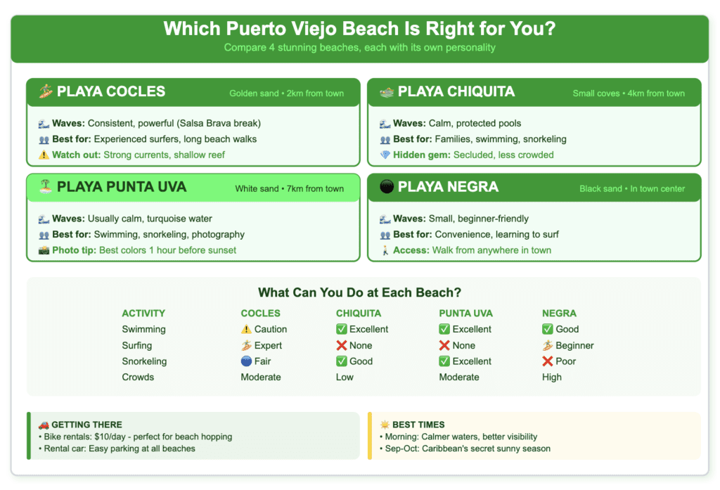 Beach comparison guide for Puerto Viejo area showing four beaches: Playa Cocles (golden sand, 2km from town, powerful waves for expert surfers), Playa Chiquita (small coves, 4km from town, calm protected pools perfect for families), Playa Punta Uva (white sand, 7km from town, turquoise water best for swimming and photography), and Playa Negra (black sand in town center, good for beginners). Includes activity comparison table rating each beach for swimming, surfing, snorkeling, and crowd levels. Bottom sections provide transportation tips (bike rentals $10/day, easy parking) and best times to visit (mornings for calm water, Sep-Oct for sunny weather). Uses green color scheme with beach emoji indicators.