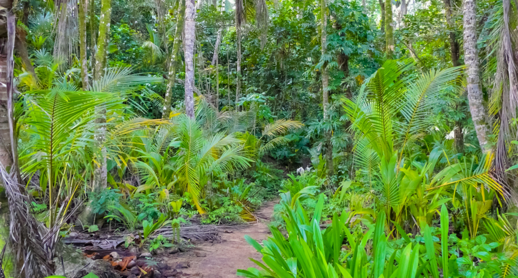 Cahuita National Park, Caribbean Coast, Costa Rica
