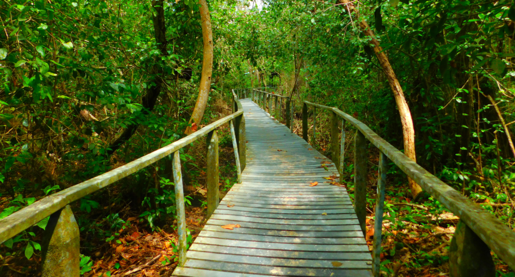 Cahuita National Park trails