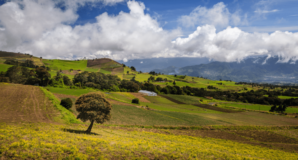 Fields in Cartago Province, Costa Rica