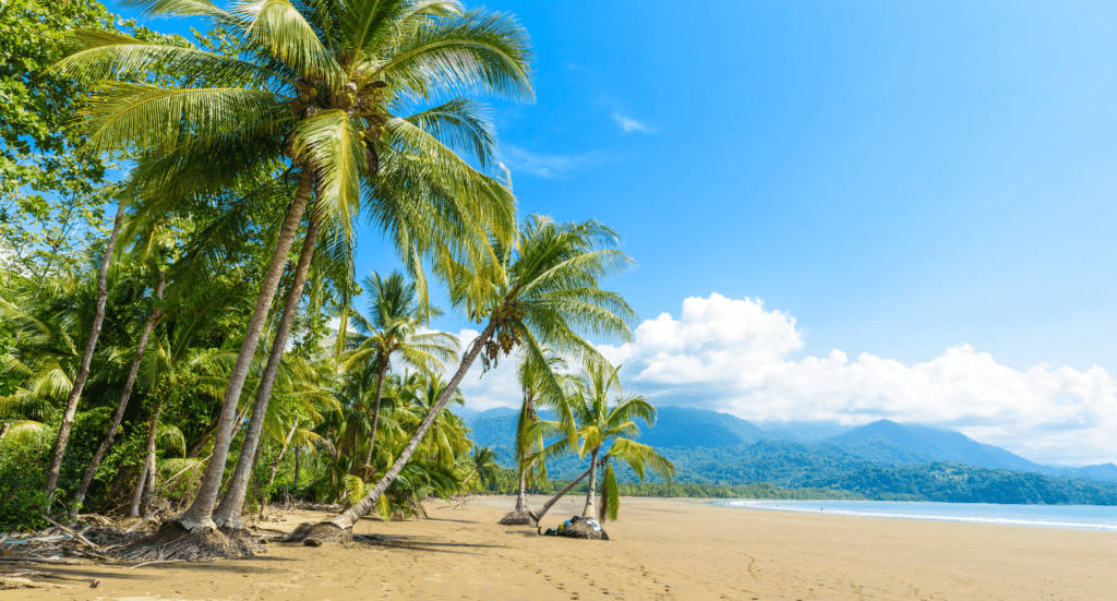 Marino Ballena National Park in Uvita - beautiful beaches and tropical forest at pacific coast of Costa Rica