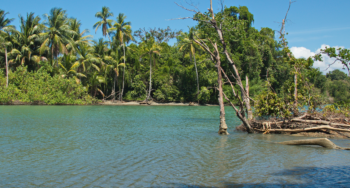 Coast at La Sirena station in Corcovado National Park Nicaragua