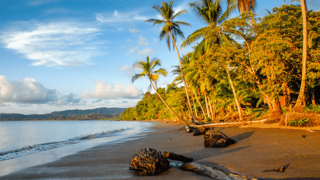Drake Bay beach