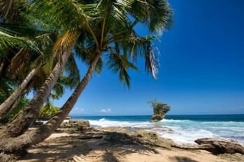 Leaning palm trees framing a rocky Costa Rica coastline with a distinctive sea stack rock formation rising from turquoise Caribbean waters