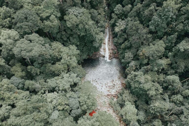 Similar to an aerial view of a rainforest waterfall cascading into a rocky pool surrounded by dense tropical forest in Costa Rica's northern lowlands