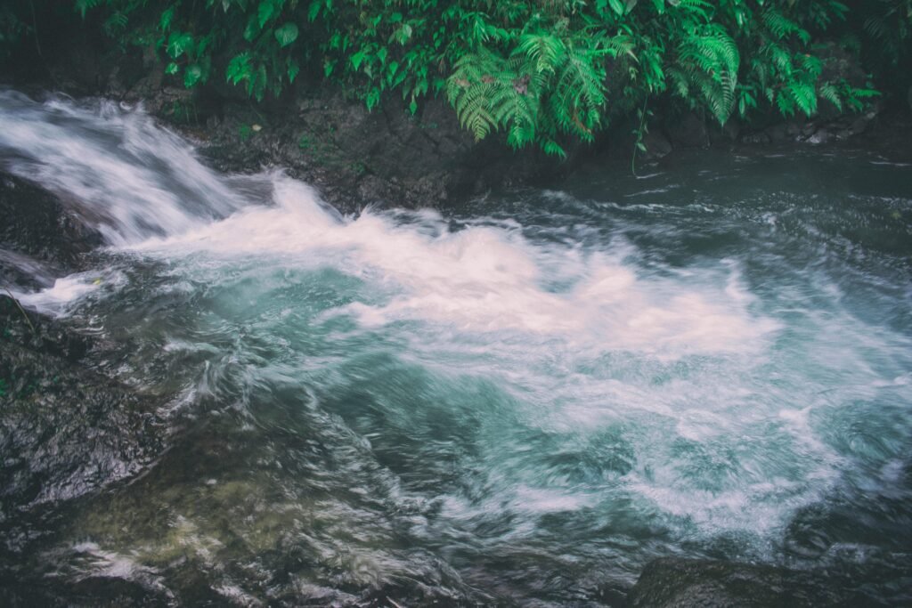 turquoise river rapids tropical rainforest costa rica scaled Rio Celeste