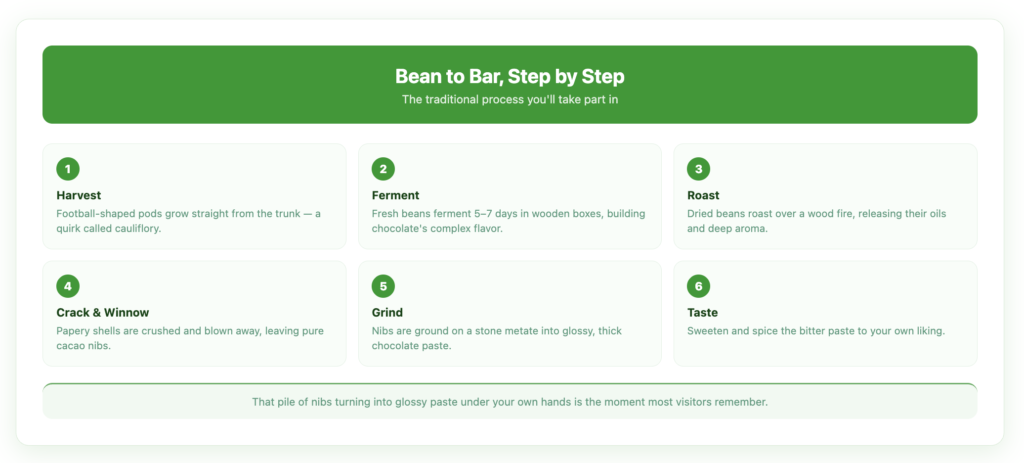 Bean-to-bar chocolate process in six steps — harvest, ferment, roast, crack and winnow, grind, and taste