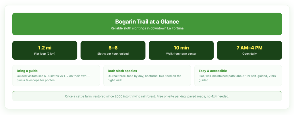 Bogarin Trail at a glance — a 1.2-mile flat loop in downtown La Fortuna, 5–6 sloths per hour guided, a 10-minute walk from town, open 7 AM–4 PM