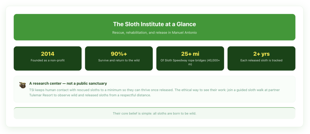 The Sloth Institute at a glance — founded in 2014, over 90% of rehabilitated sloths return to the wild, more than 25 miles of Sloth Speedway rope bridges installed, and each released sloth tracked at least two years; a research center, not a public sanctuary