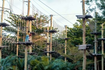 Visitors crossing an elevated rope bridge on a treetop aerial adventure course