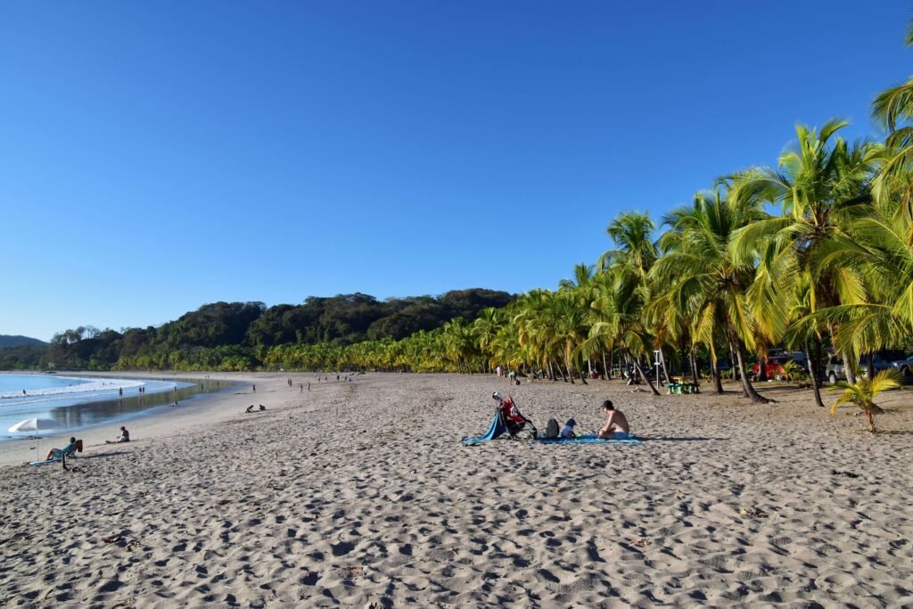 Palm-lined Pacific beach with families relaxing on the sand under a clear blue sky