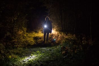 A guided walker lighting a dark forest path with a headlamp, similar to a Monteverde cloud forest night walk