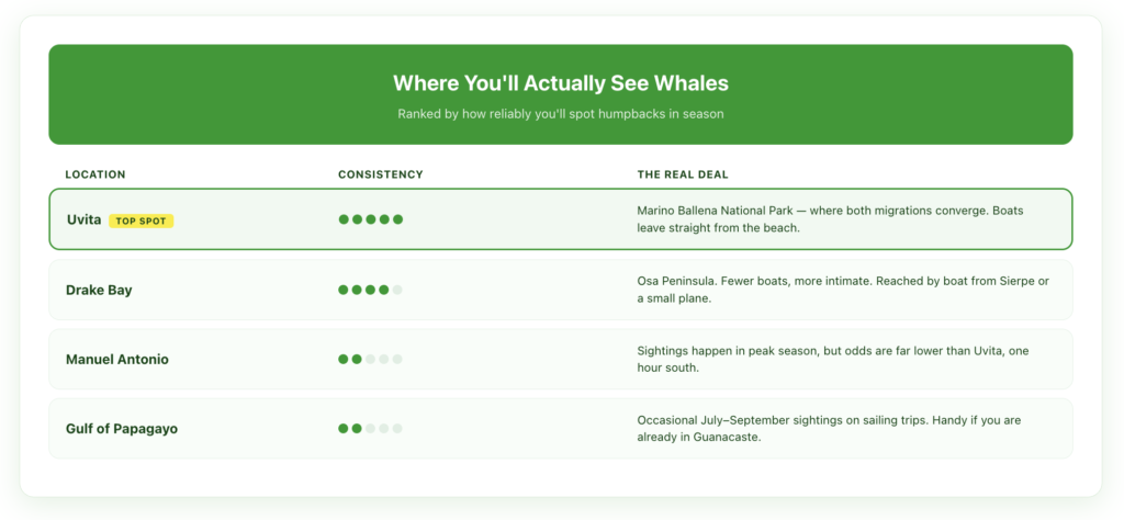 Ranking of Costa Rica whale watching locations by sighting consistency. Uvita at Marino Ballena National Park rates highest with five out of five. Drake Bay on the Osa Peninsula rates four. Manuel Antonio and the Gulf of Papagayo each rate two, with lower and more occasional sightings.