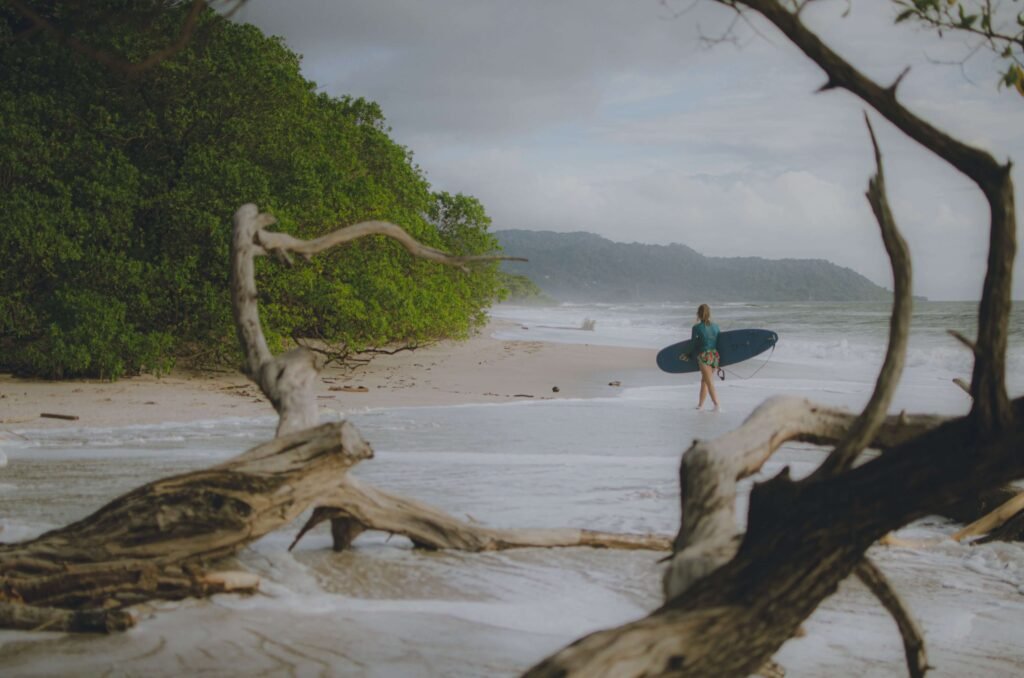 Surfer carrying a longboard toward the waves along a tree-lined beach, similar to a secluded Costa Rica surf spot