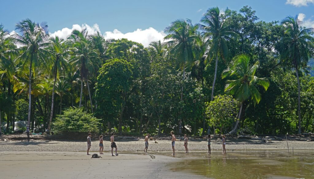 Travelers on the wet sand of a palm-lined beach backed by dense jungle, similar to Dominical Beach, Costa Rica