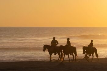 Horseback riders silhouetted along the shoreline at sunset, similar to a horseback tour to Playa Cocolito, Costa Rica