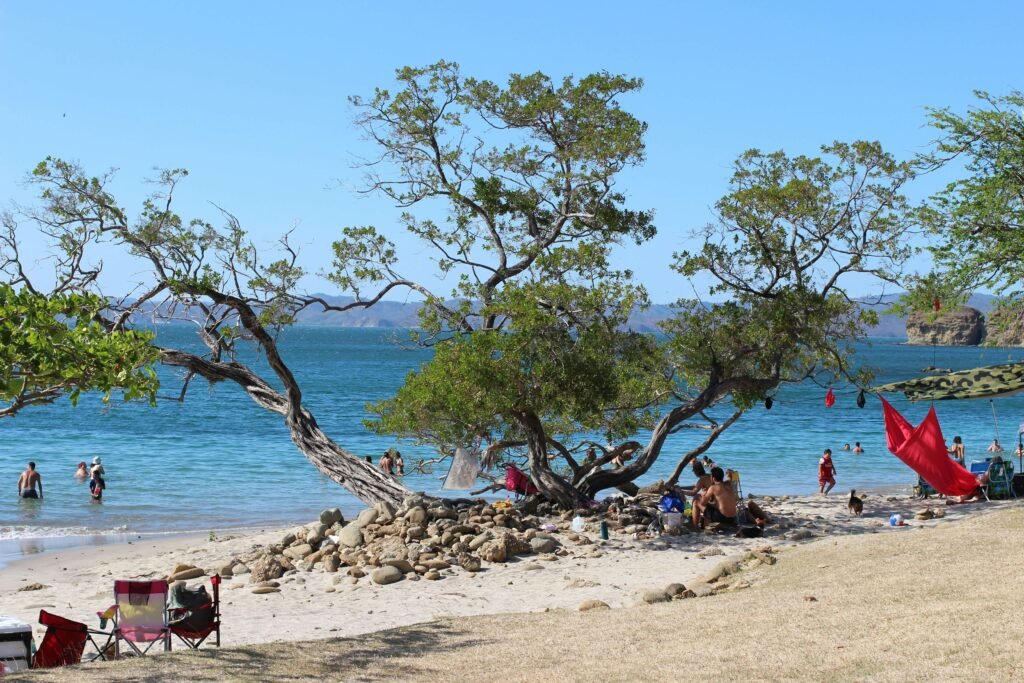 Beachgoers swimming and picnicking under leaning trees beside a calm turquoise bay, similar to Playa Cabuyal, Costa Rica