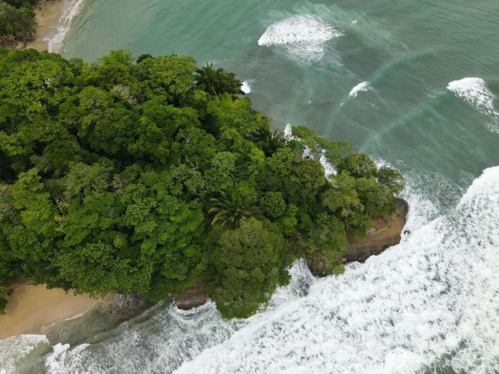 Aerial view of a jungle headland meeting surf and golden sand coves, similar to Playa Cocles, Costa Rica