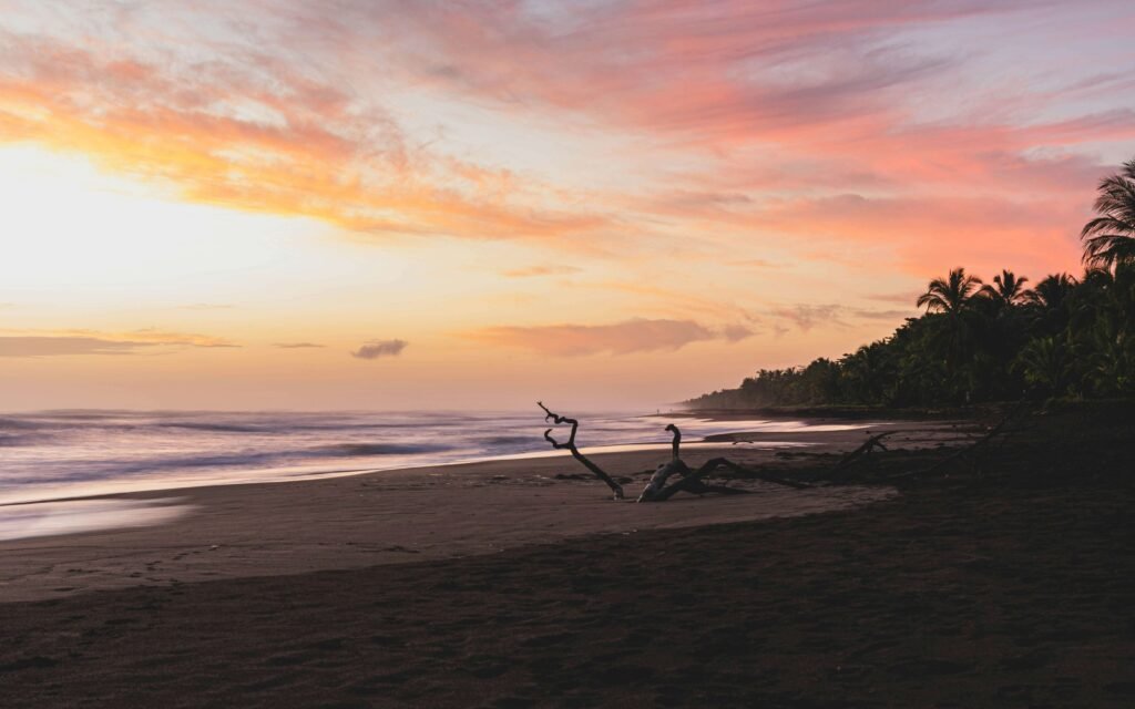 Child wading in shallow surf on a golden-sand beach below a palm-covered headland, similar to Playa Cocles, Costa Rica