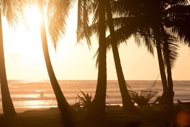 Person relaxing in a hammock between palm trees at sunset beside the surf, similar to Playa Hermosa, Costa Rica