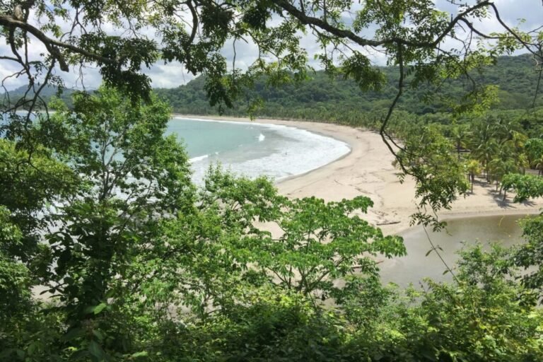 Elevated view through trees of a curving white-sand bay with palms and forested hills, similar to San Juanillo, Costa Rica