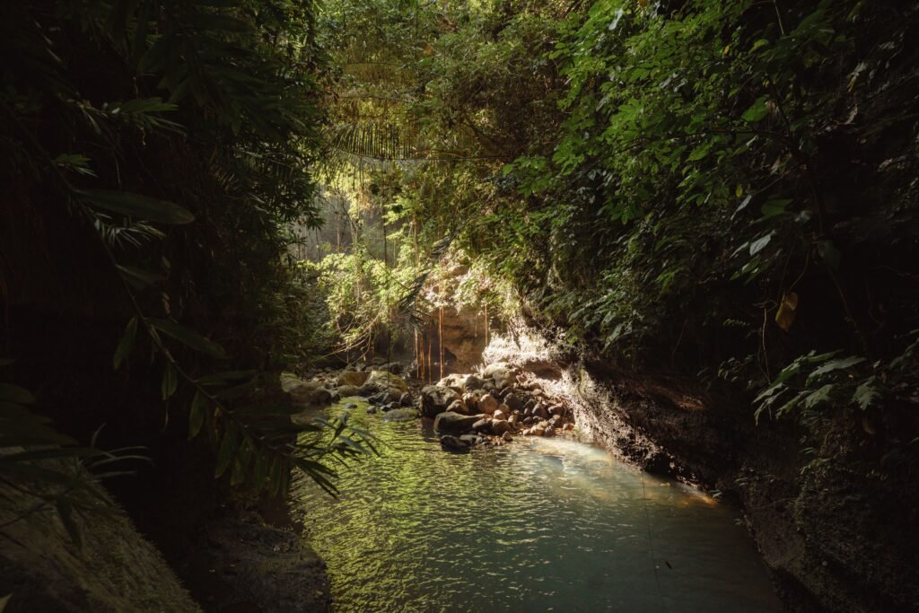 Sunlit jungle river running between rocks and dense green foliage, similar to the river above Uvita Waterfall, Costa Rica